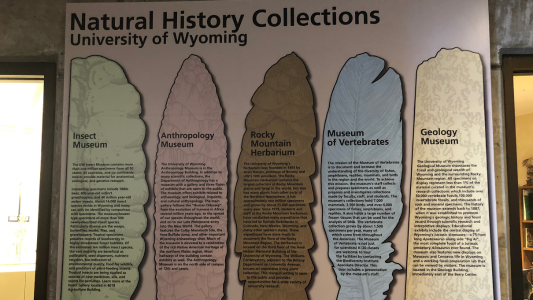 Natural history collections exhibit  2023.png
