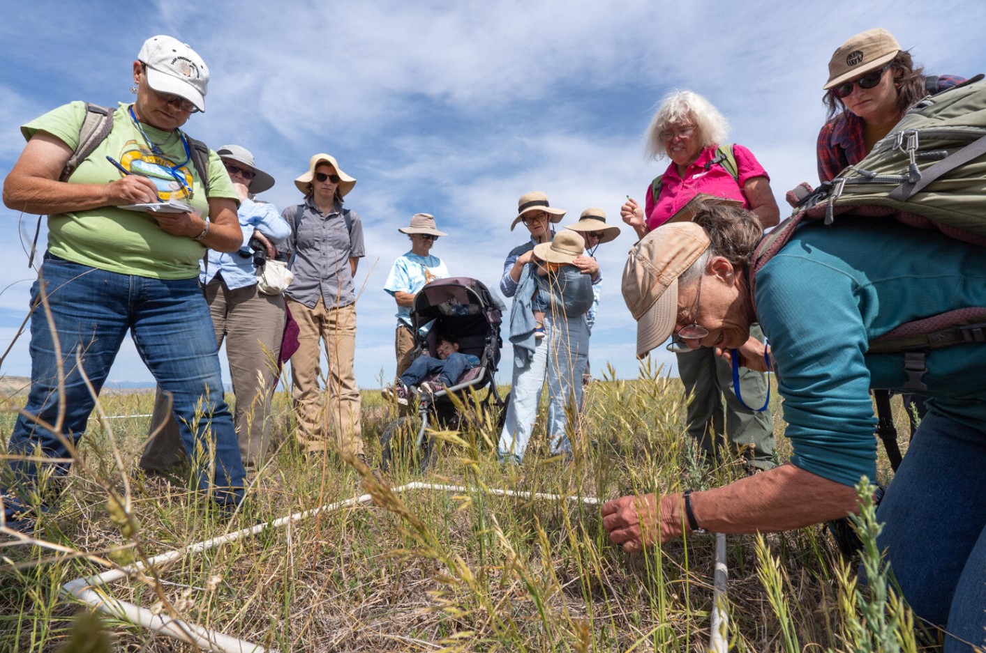 wind-river-bioblitz-evan-barrientos-plant-site.jpg