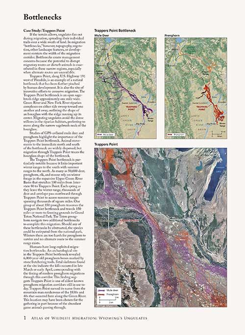 An sample page from the Atlas of Wildlife Migration: Wyoming’s Ungulates