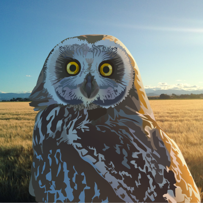 An artist's rendition of a short eared owl 