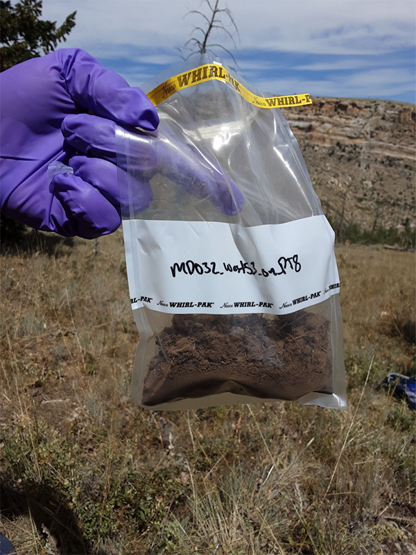 A photograph of a soil sample collected in the field. 